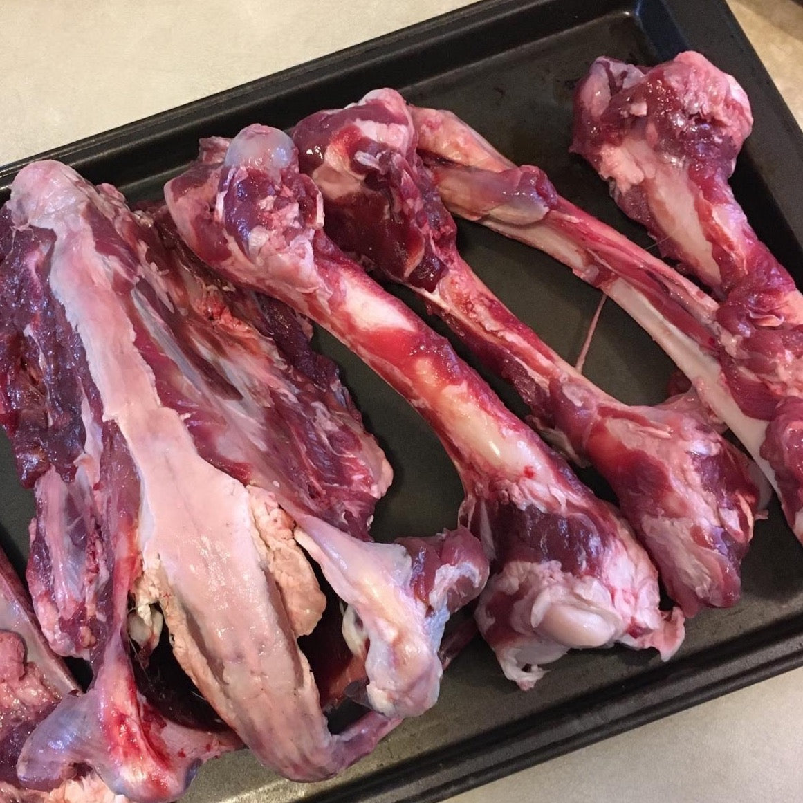 VENISON BONES