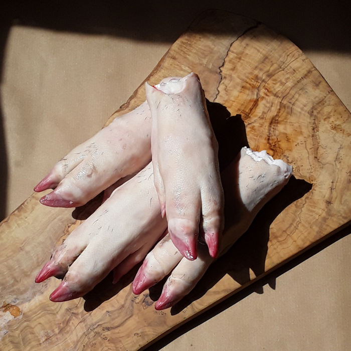 MANGALITSA TROTTERS